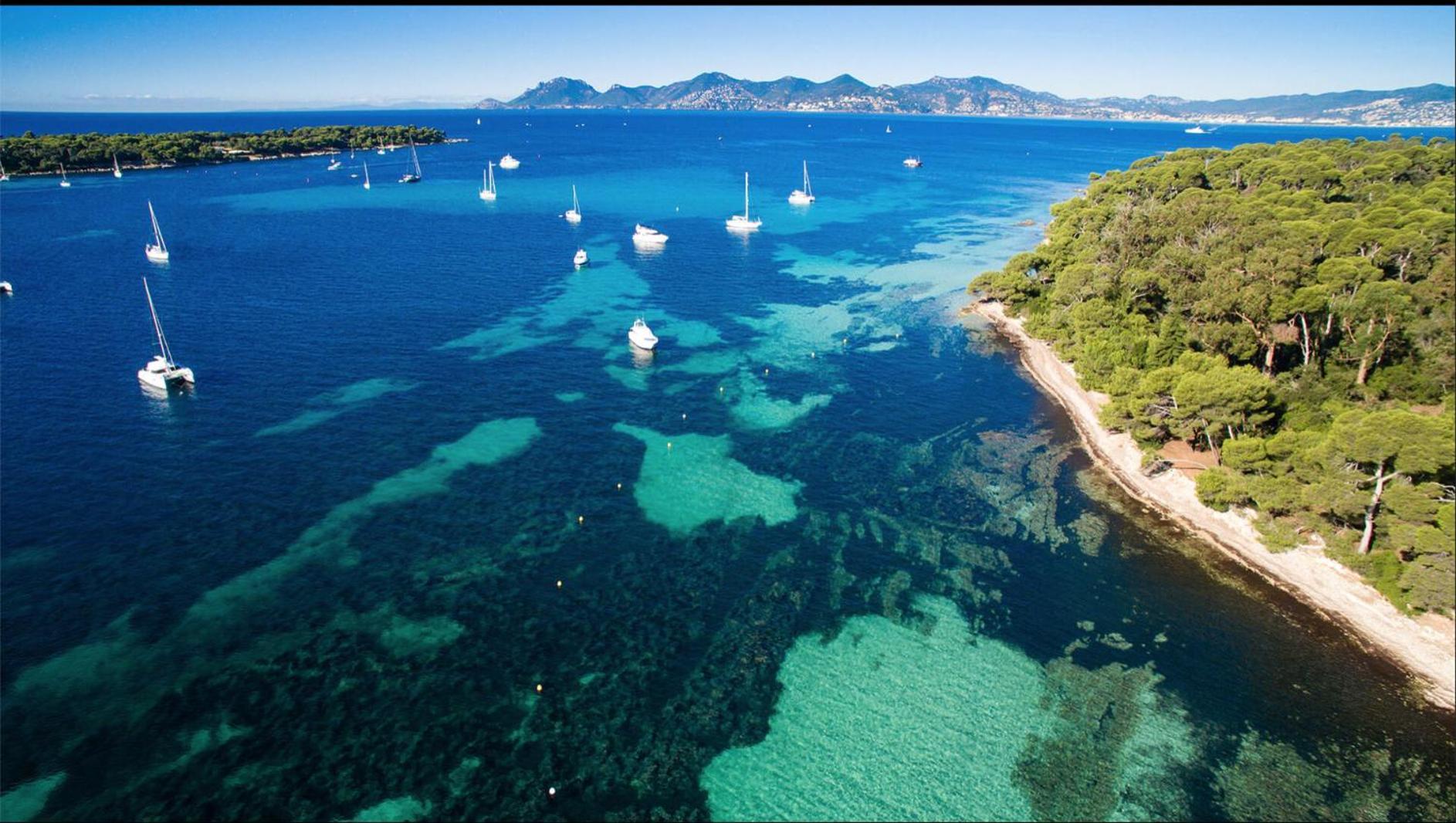 Apartmán Le Bristol Cannes Exteriér fotografie